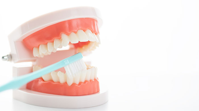 「噛み合わせ」と「予防」を重視した総合的なケア