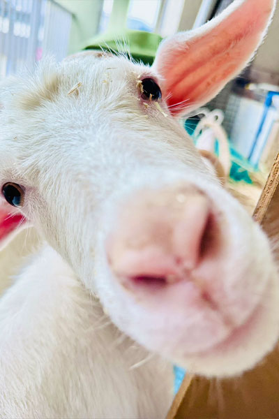 ギャラリー・店舗情報