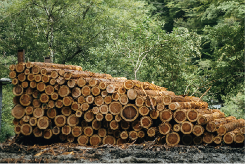 Progress check and instruction support