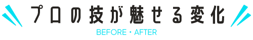 プロの技が魅せる変化