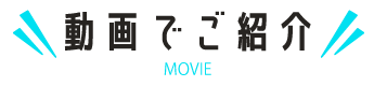 動画でご紹介