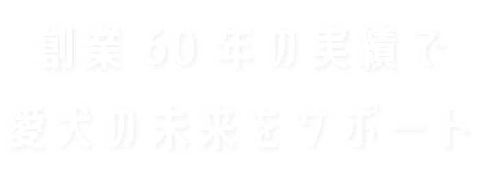 創業60年の実績で愛犬の未来をサポート