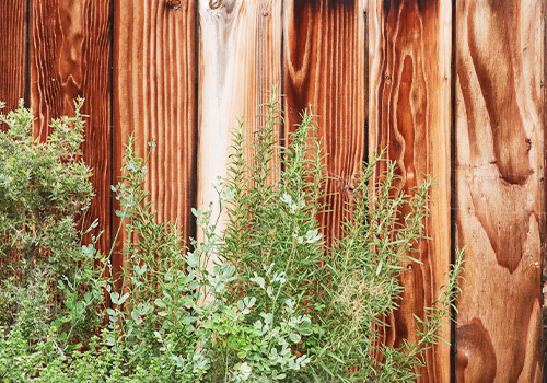 相続・家族信託