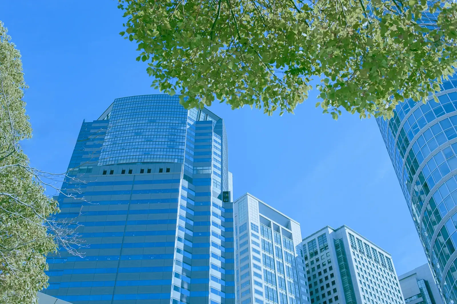 橋目幸英税理士事務所イメージ画像