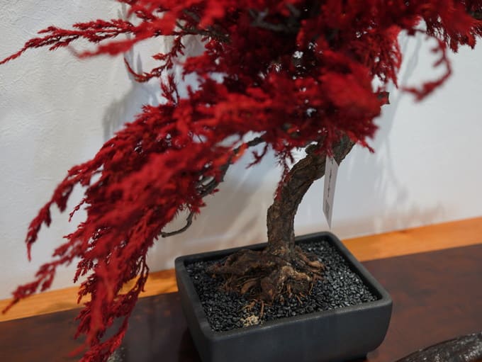 盆栽 盆栽（桜） | CATALOG | PERLER BEADS® | ブランド一覧 | カワダ公式