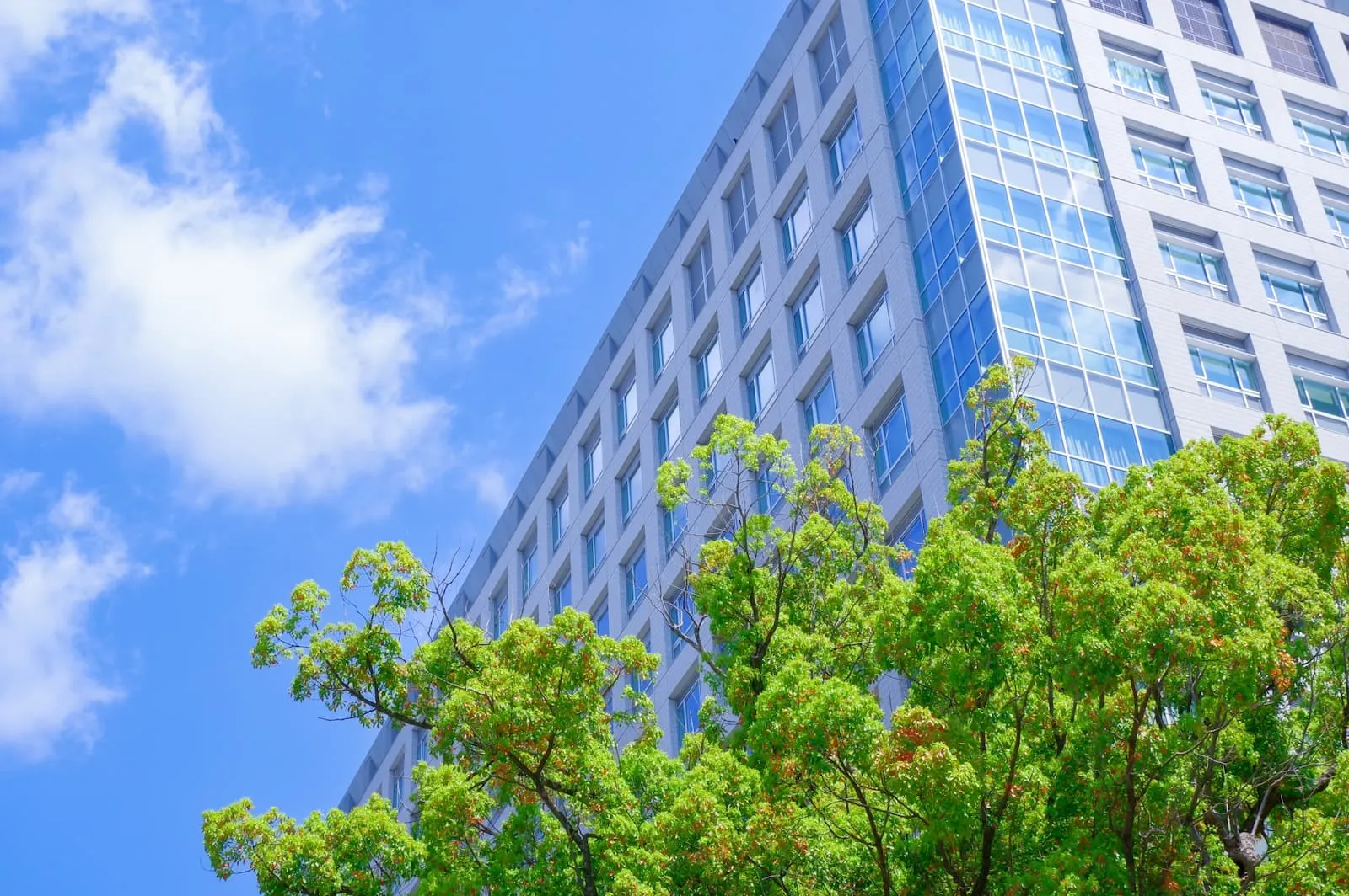 株式会社SLKイメージ画像