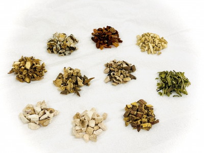 漢方薬を用いた治療