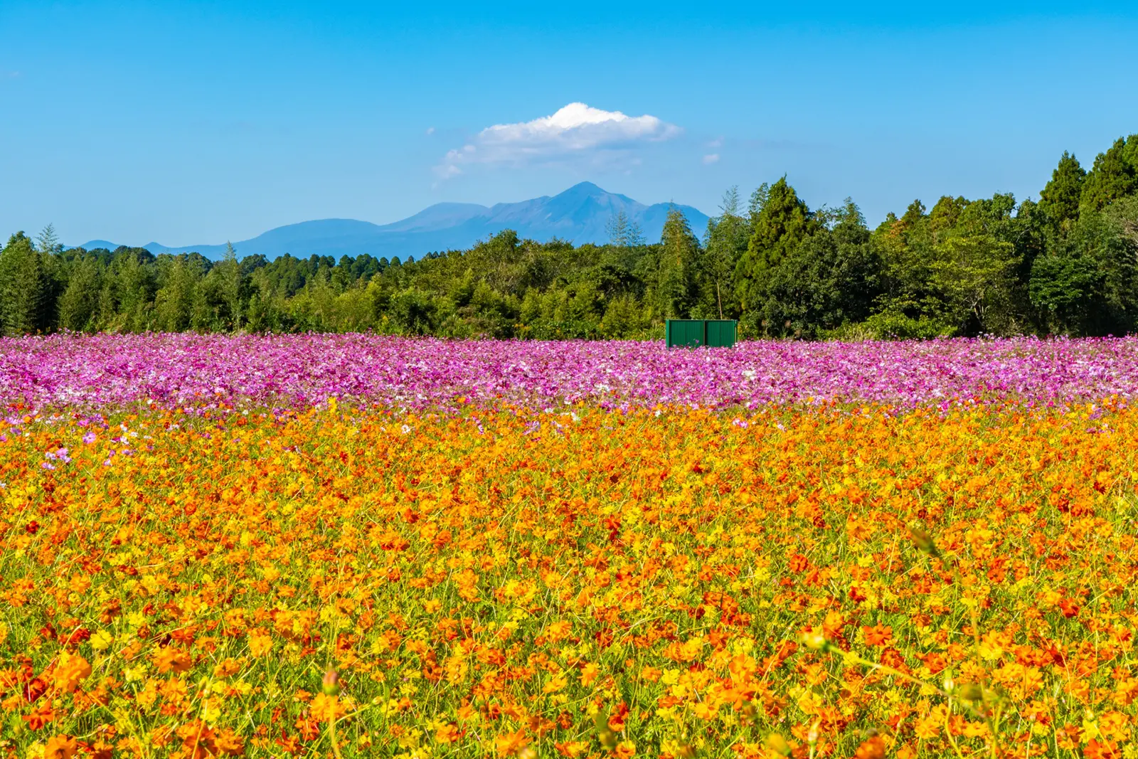 有限会社丸二総業イメージ画像