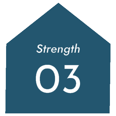 Strength03