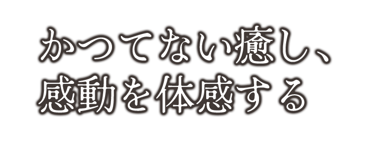かつてない癒し、感動を体感する