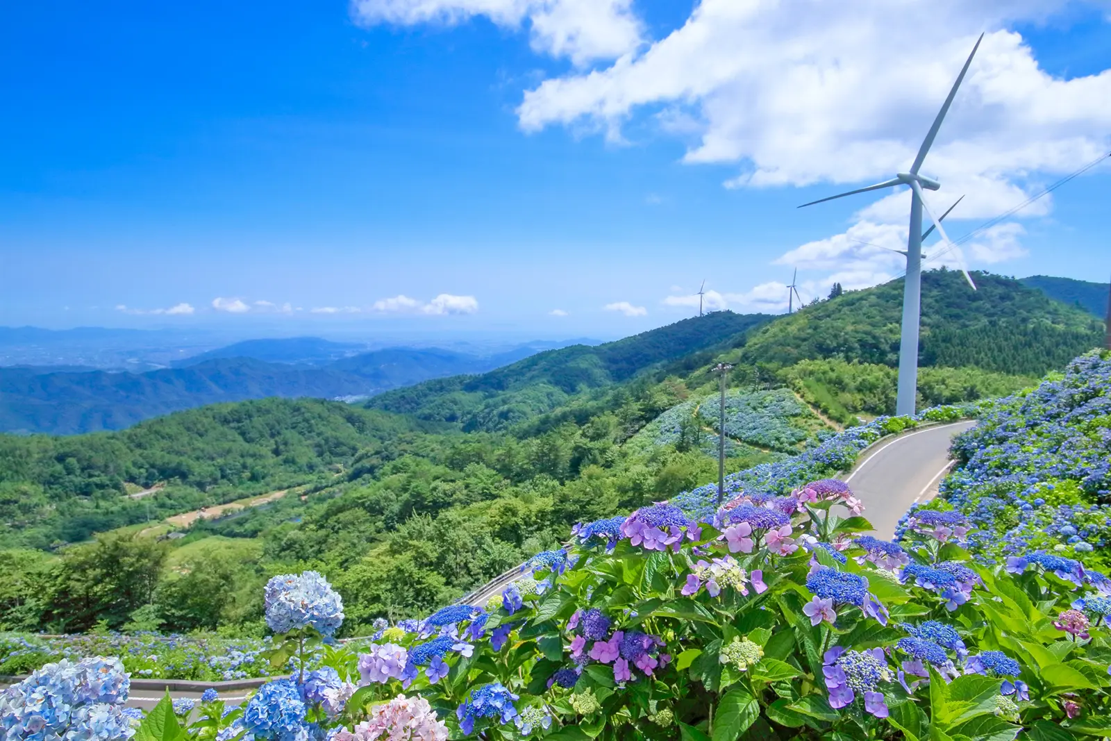 社会福祉法人 佐那河内村社会福祉協議会イメージ画像