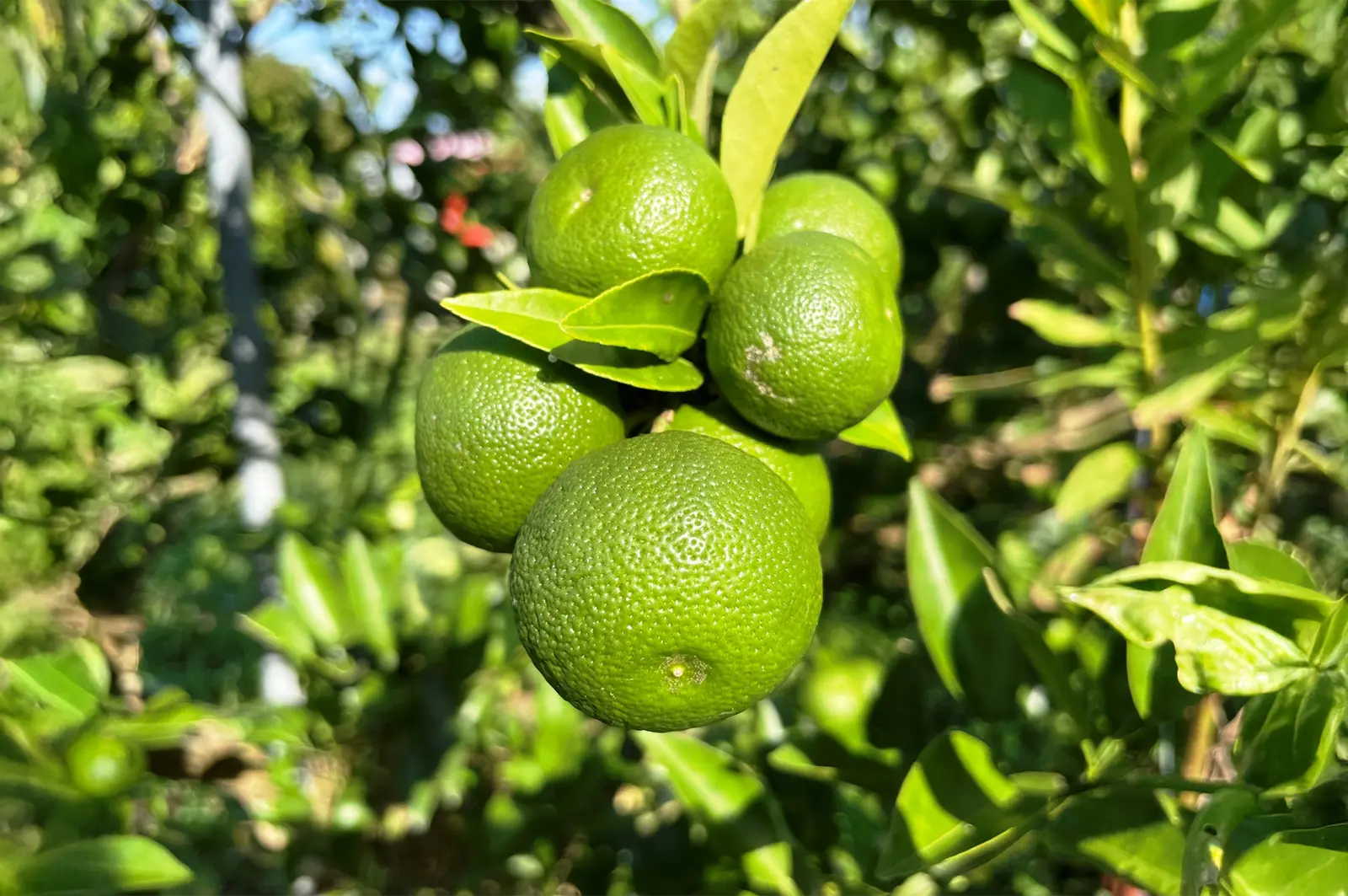 社会福祉法人 佐那河内村社会福祉協議会イメージ画像