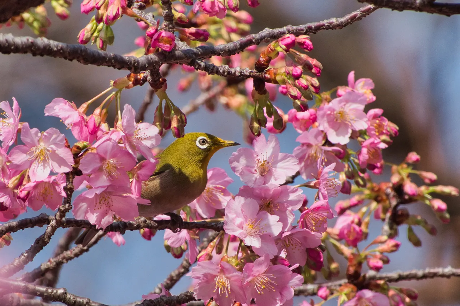 社会福祉法人 佐那河内村社会福祉協議会イメージ画像
