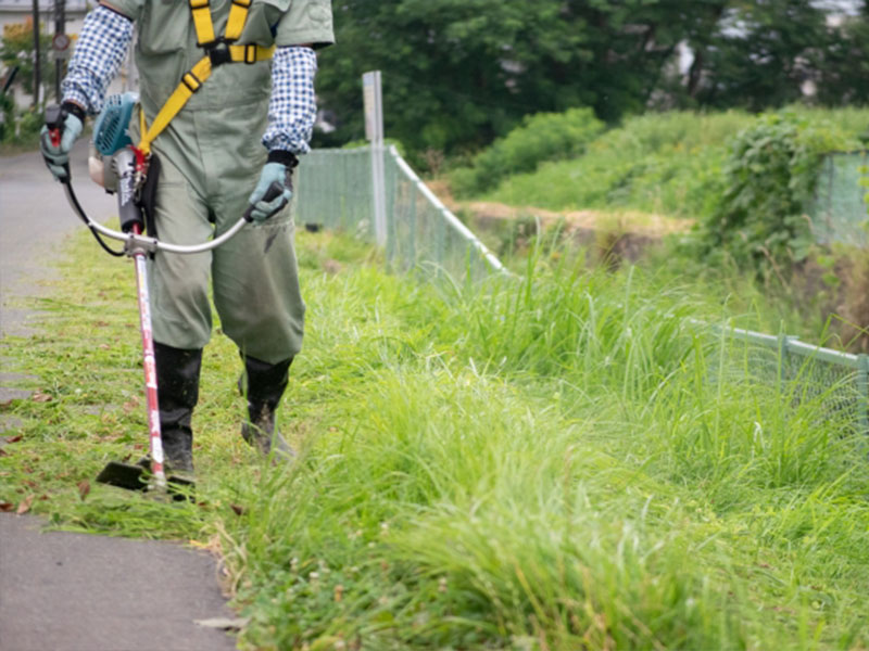 ハウスメンテナンス（害虫駆除・草刈り・清掃）
