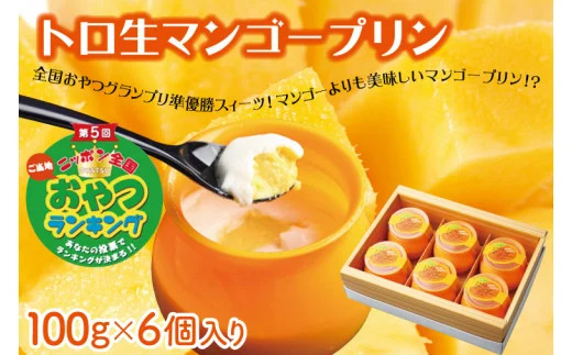 トロ生マンゴープリン