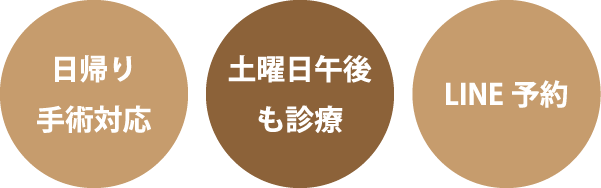 「日帰り手術対応」「土曜日午後も診療」「LINE予約」