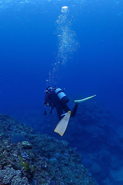 社会への取り組み
