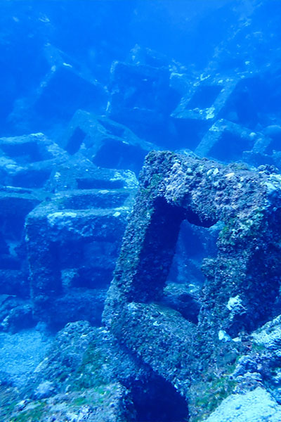 社会への取り組み