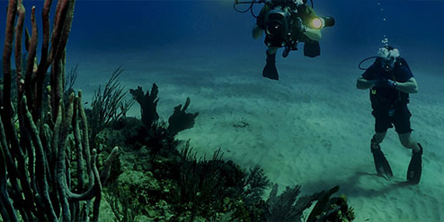 スカイコーポレーション