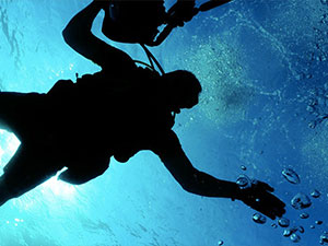 スカイコーポレーション