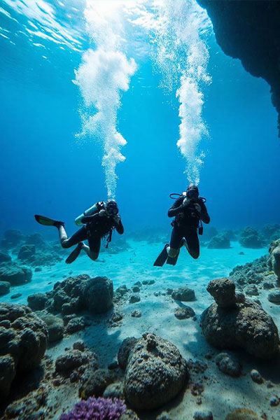 社会への取り組み