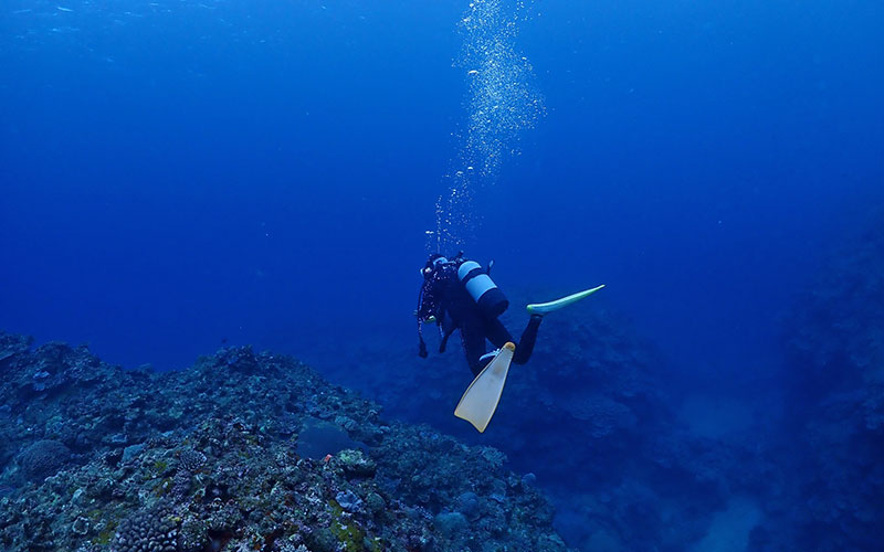 潜水工事・水中工事