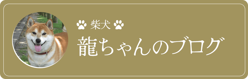 柴犬 龍ちゃんのブログ