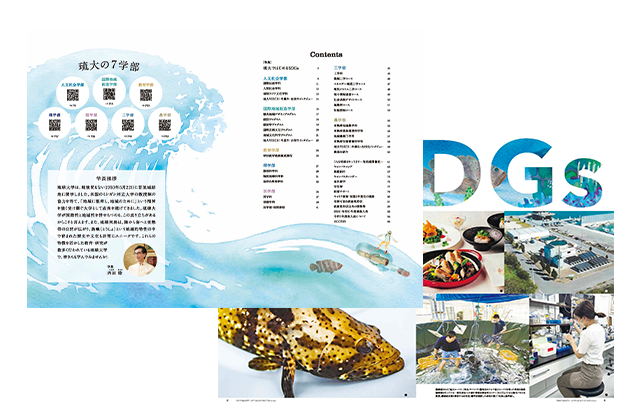 パンフレット・冊子・業務書類