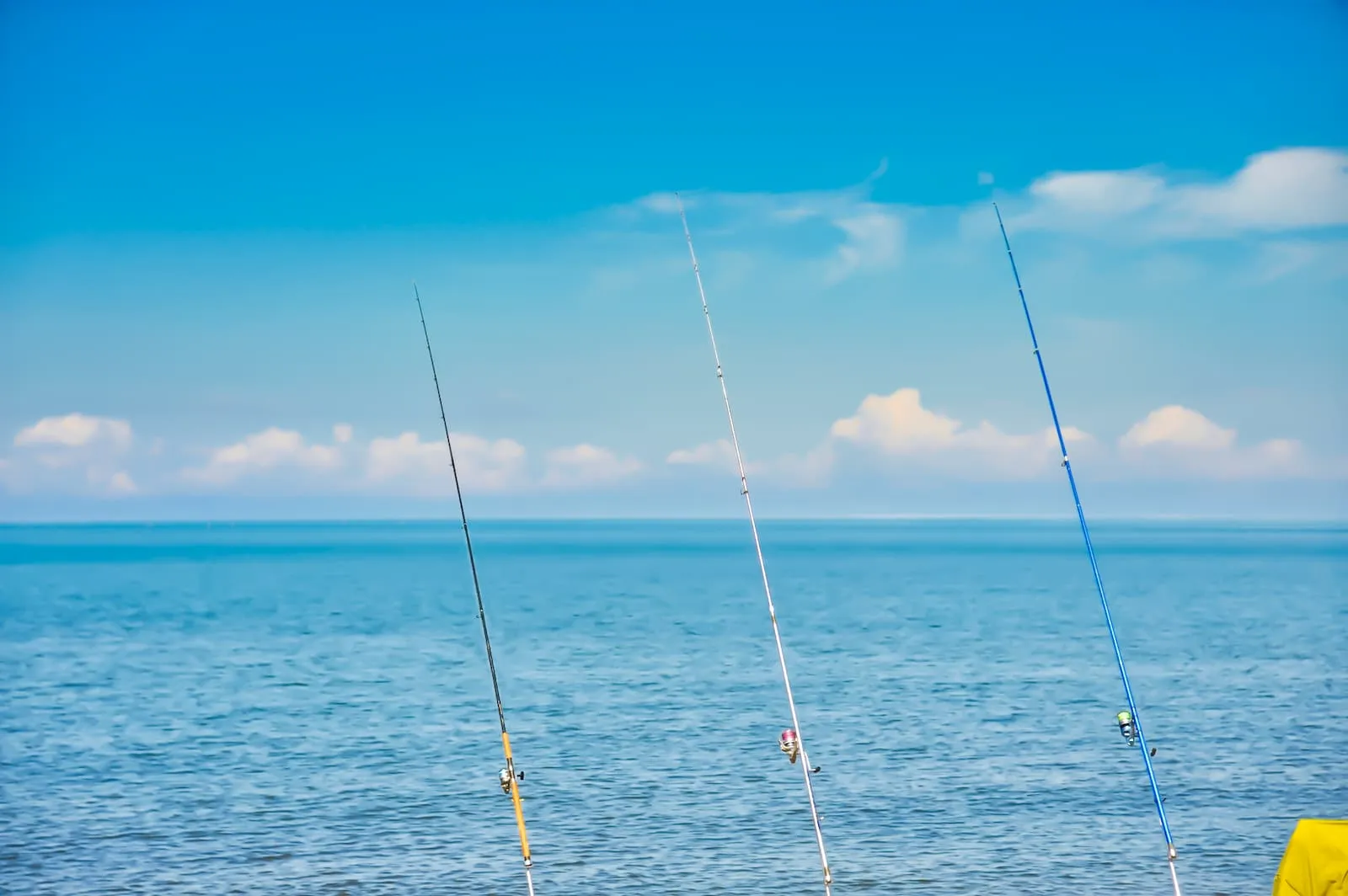 釣具スーパー朝日イメージ画像
