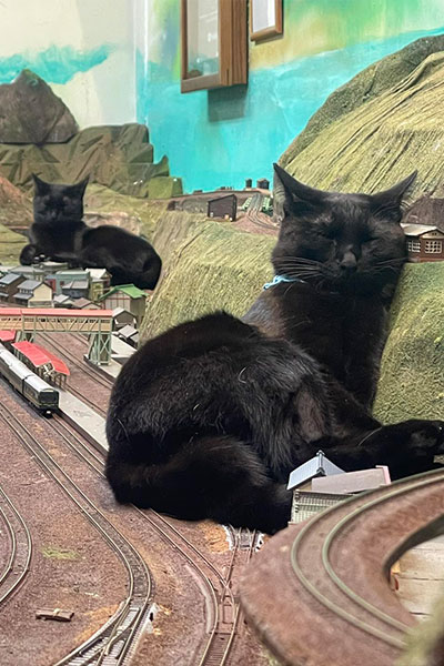 ジオラマ食堂って？