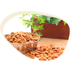 ようこそ、ジオラマ食堂のキャットフードショップへ