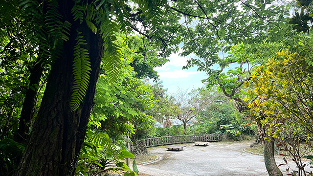 八重島公園について