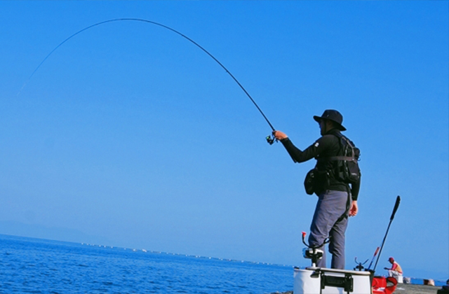 干支や趣味にちなんで