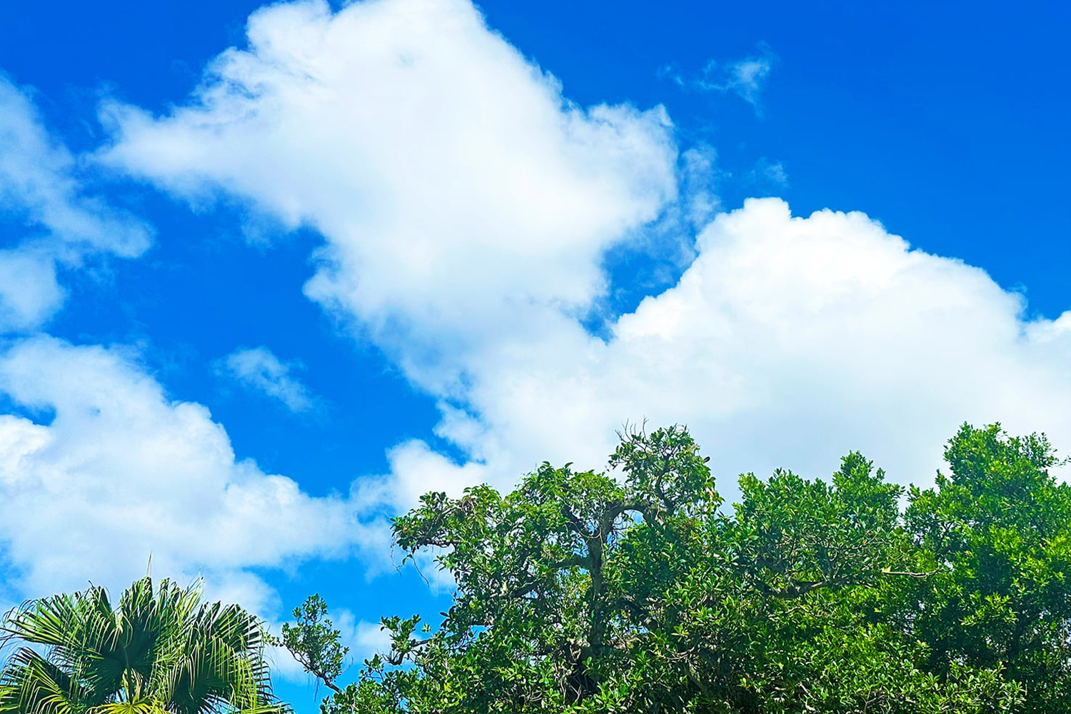 さわふじ霊園について