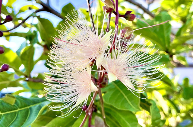 安心と信頼の対応でお迎え