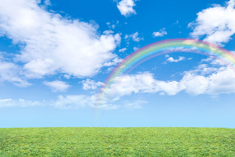 居宅介護（障がい福祉サービス）