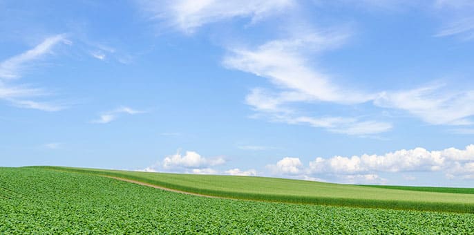 アリスタッチ 居宅介護
