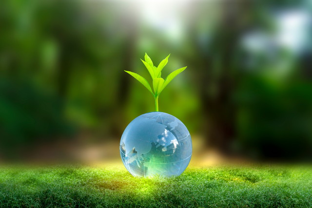 地球から緑が育つイメージ