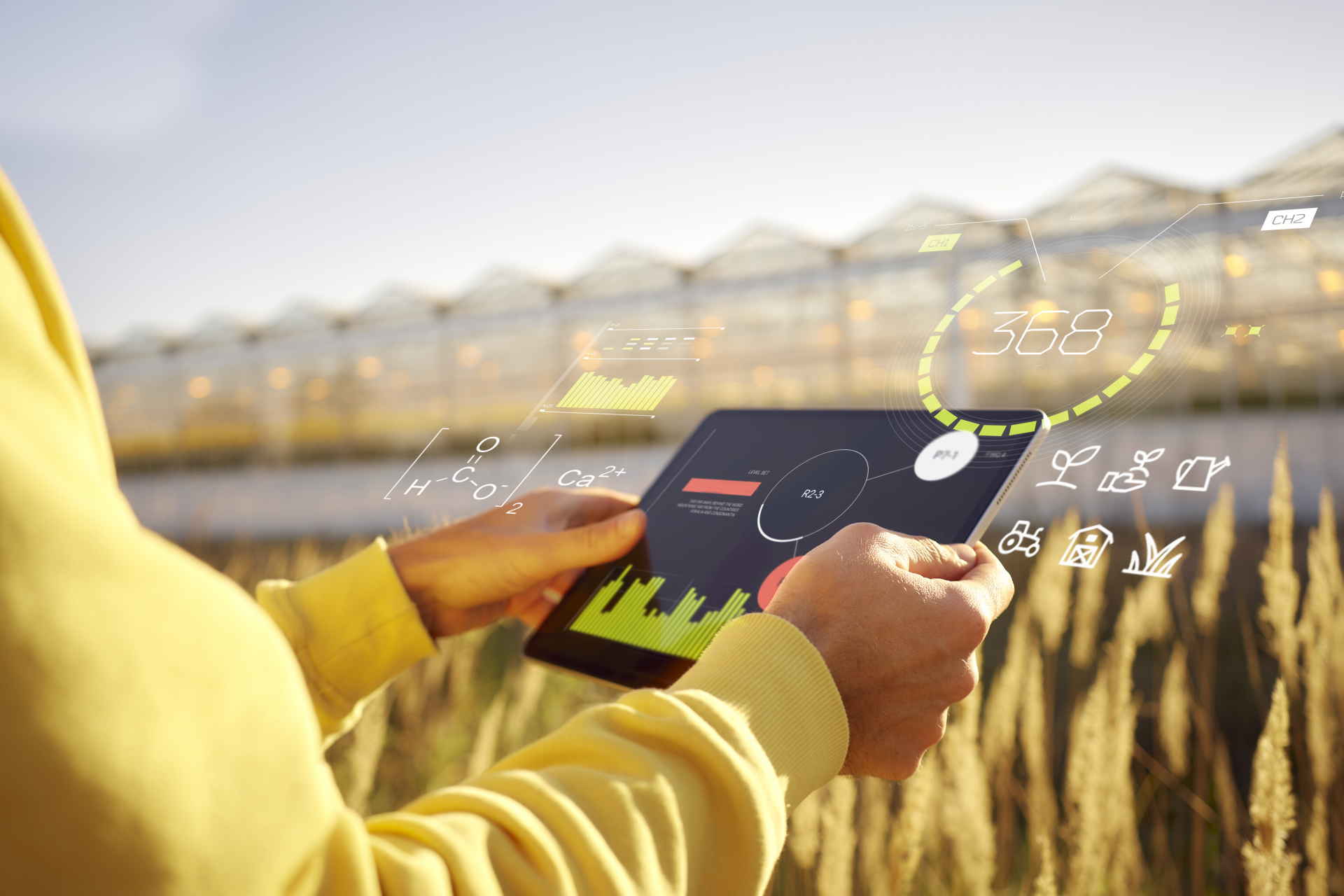 タブレットでスマート農業のデータを確認する農業従事者