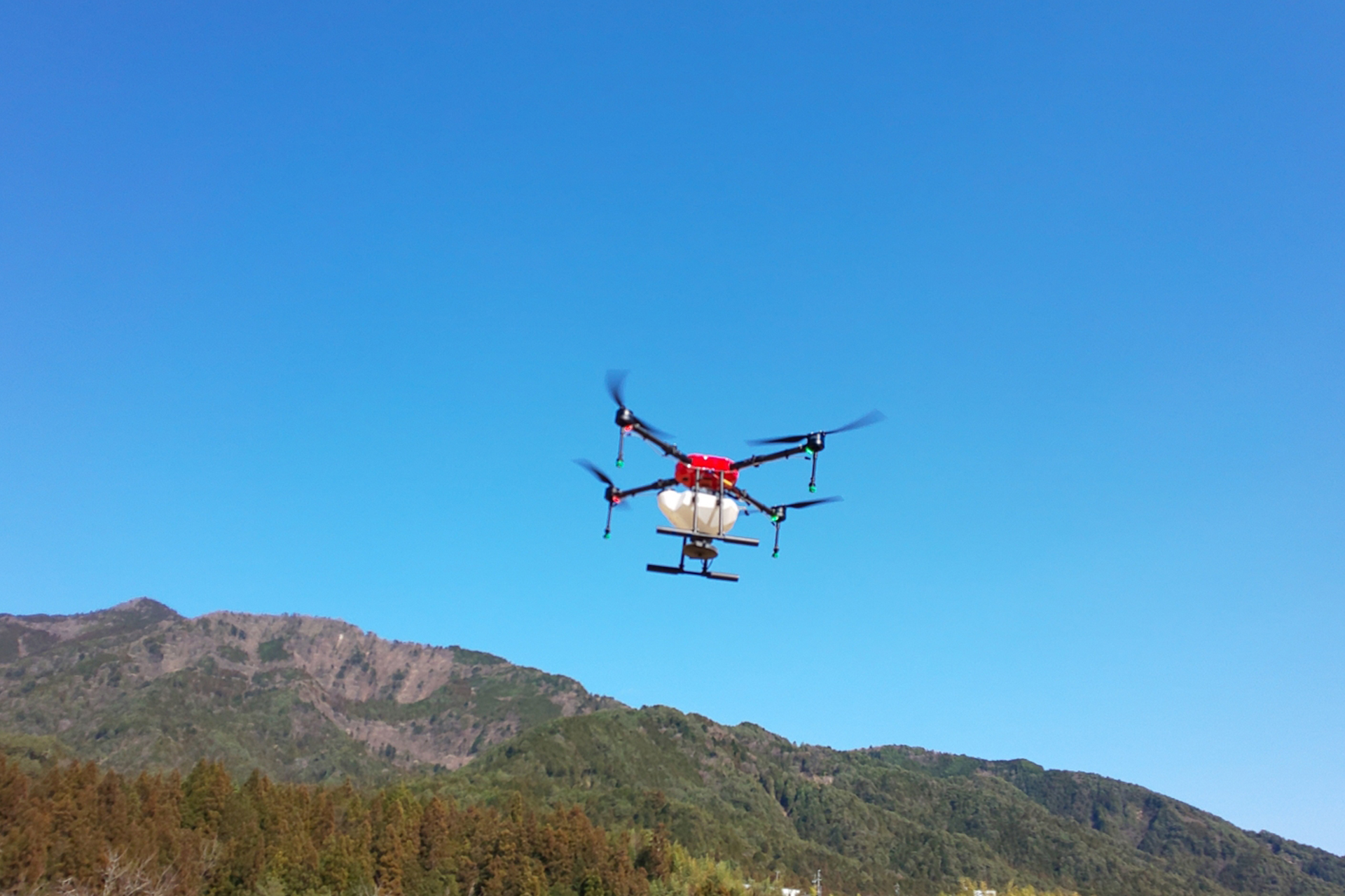 ドローンによる水田での農薬散布の様子