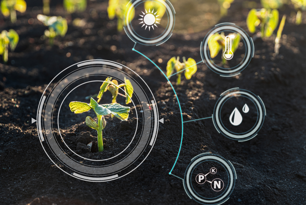 稲作とドローン