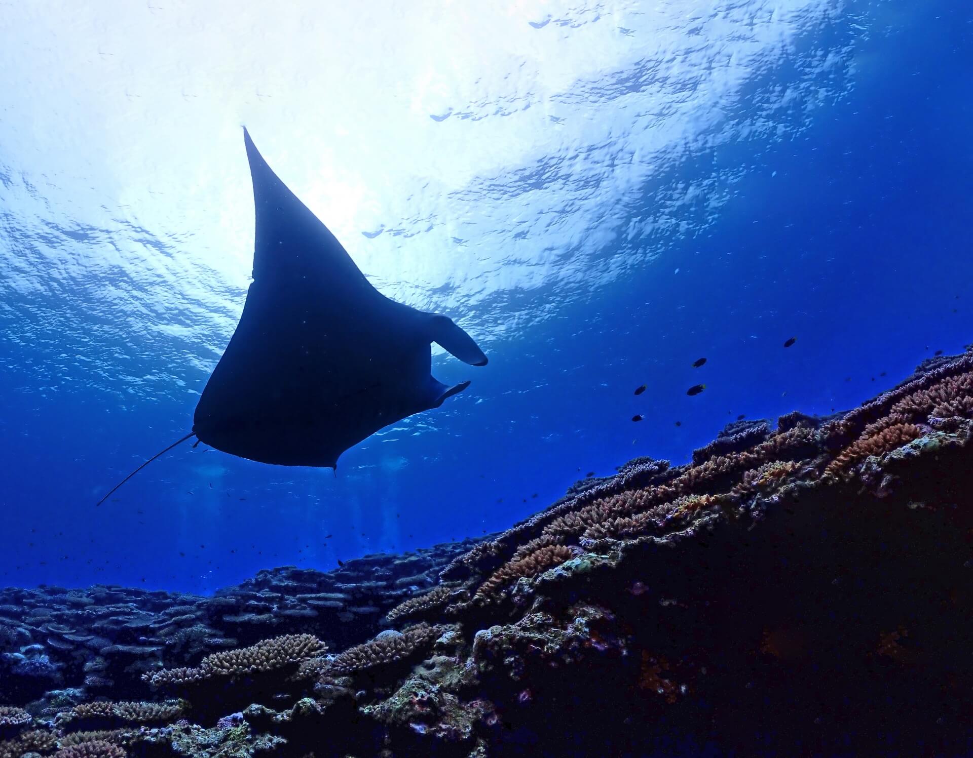 レンタカーの利用イメージ