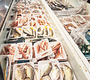 鮮魚コーナー