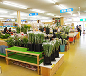 産直コーナー