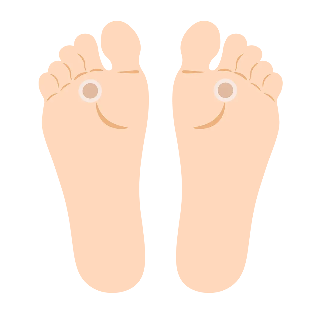 イメージ画像