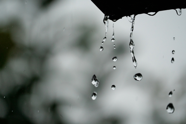 雨上がりの後、部屋がカビ臭い
