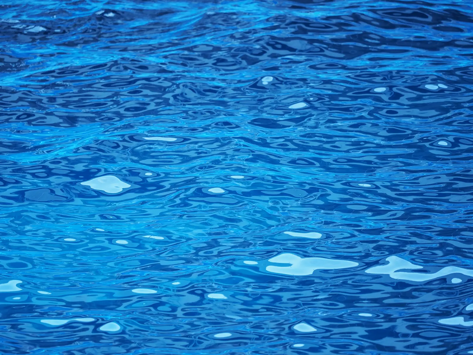 株式会社ジェイアップ丸山イメージ画像