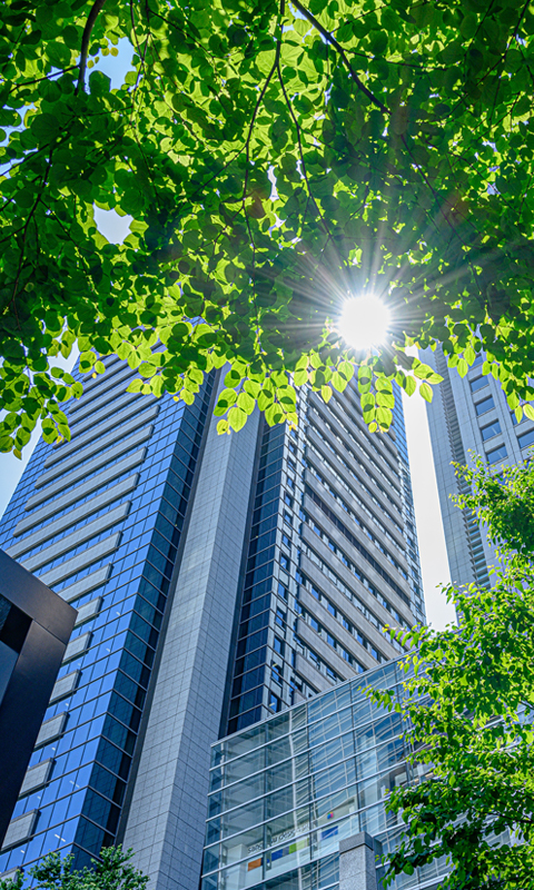 緑と高層ビル