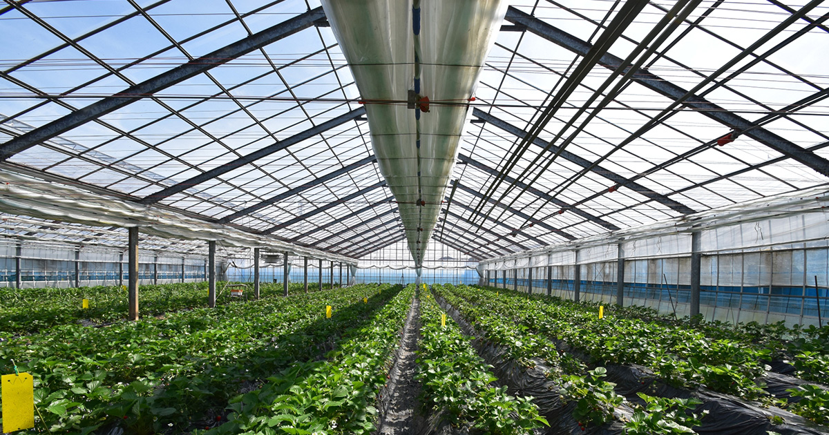 新與産業イメージ画像