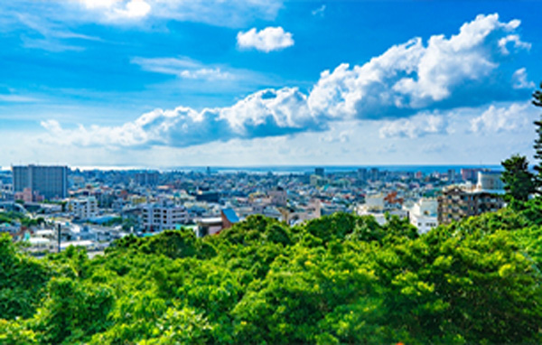 外部講師に依頼しない理由